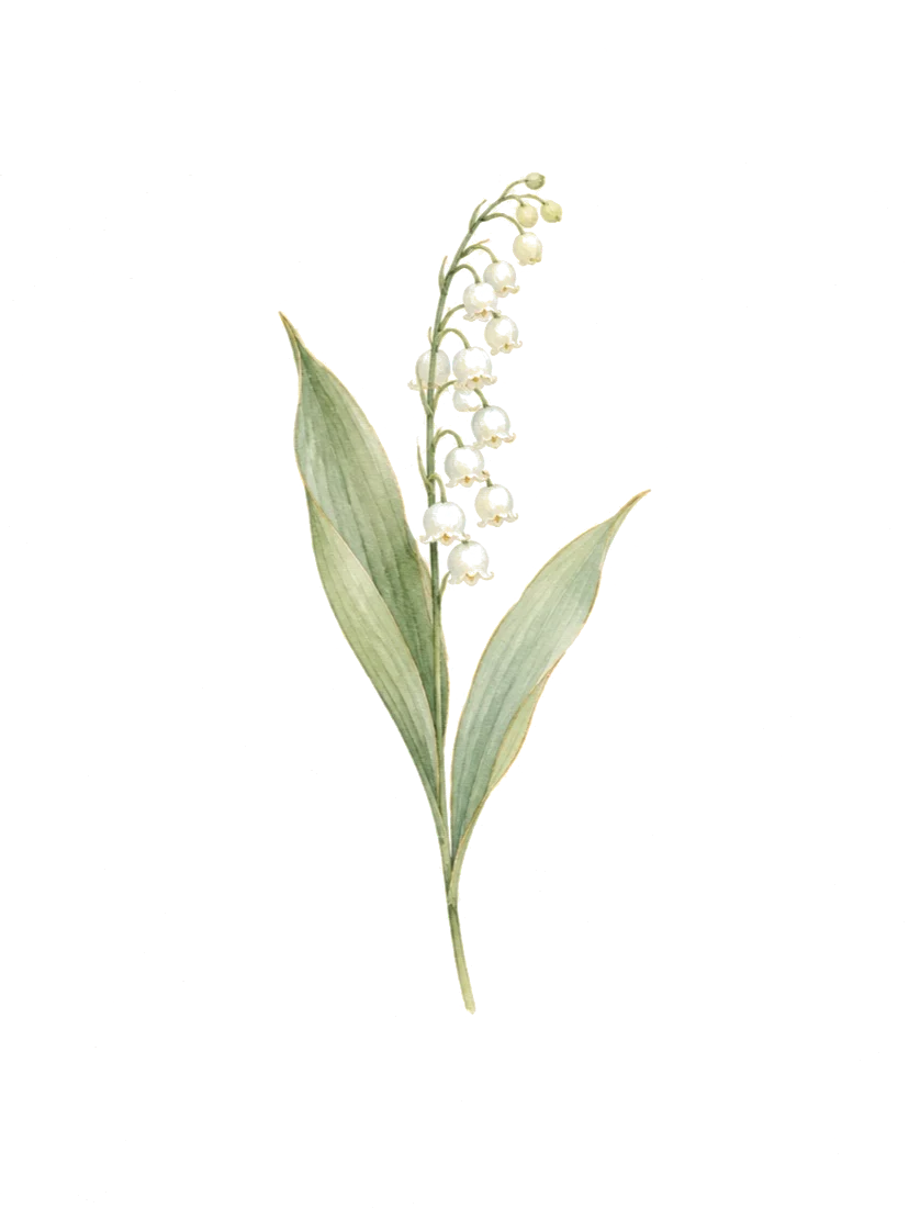 은방울꽃